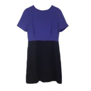 Marc by Marc Jacobs | Black Purple Dress - E89